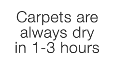 Carpets are always dru in 1-3 hours